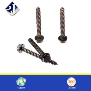 Wood Screw