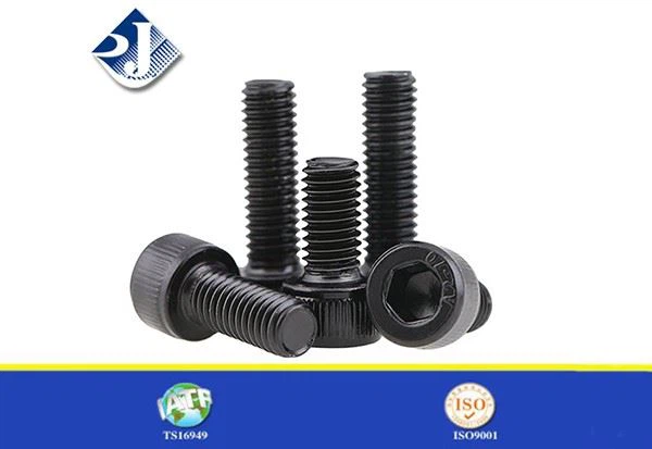 Hex Socket Head Bolts
